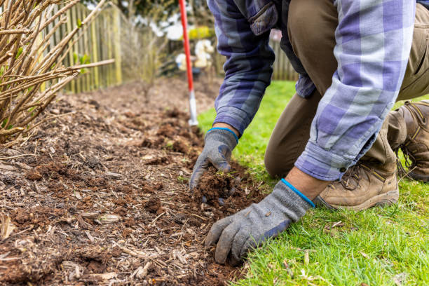 Man Preparing a Flower Bed for Mulch and Edging Man pics up clumps of dirt from edging a flower bed prior to mulching wood chip stock pictures, royalty-free photos & images