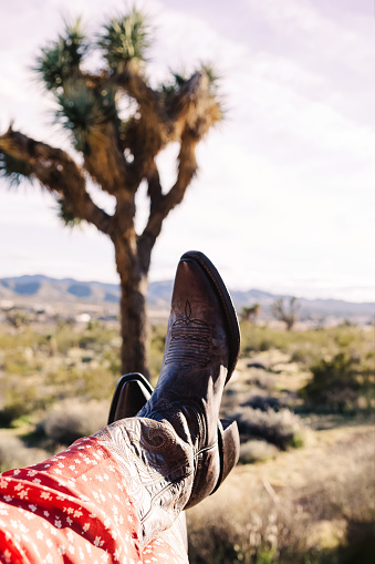 Close-up view of woman wearing cowboy boots with joshua tree on the background, boho lifestyle