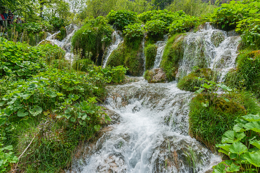 Waterfall crashing down between greenery covered rugged terrain in Plitvice Lakes National Park.