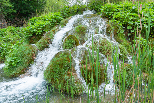 Scenic Plitvice Lakes water tumbles over greenery in Croatia.