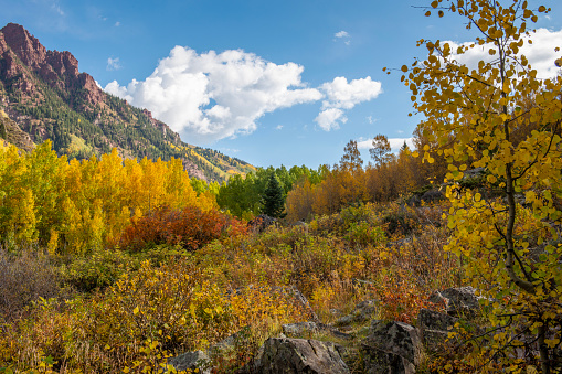 Fall Foliage at Maroon Bells, Colorado, USA