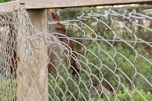 broken chain link fence in bushland