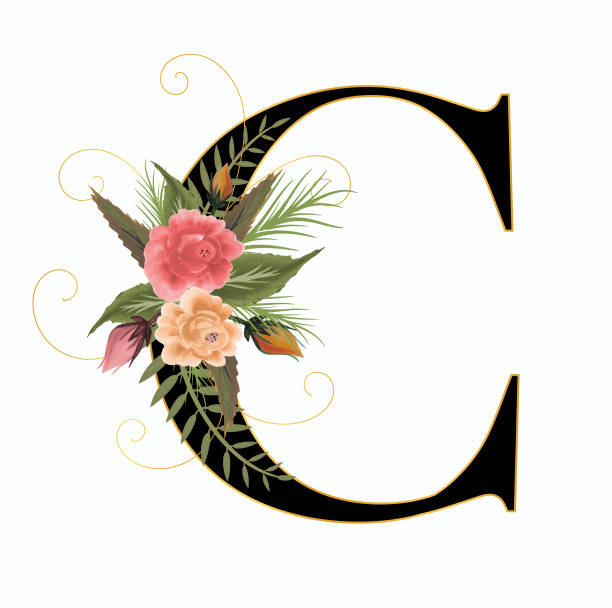790+ Flower C Stock Illustrations, Royalty-Free Vector Graphics