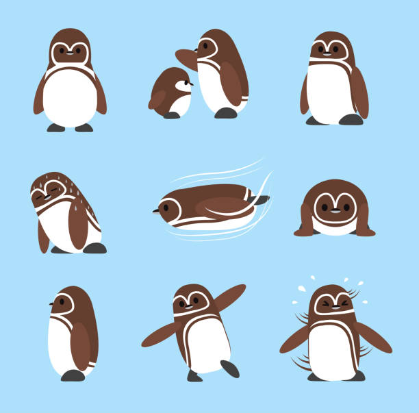 Galapagos Penguin Cute Set Cartoon Character Vector Animal Cartoon EPS10 File Format magellanic penguin stock illustrations