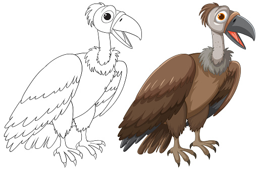 Vector illustration of a vulture, colored and outlined.