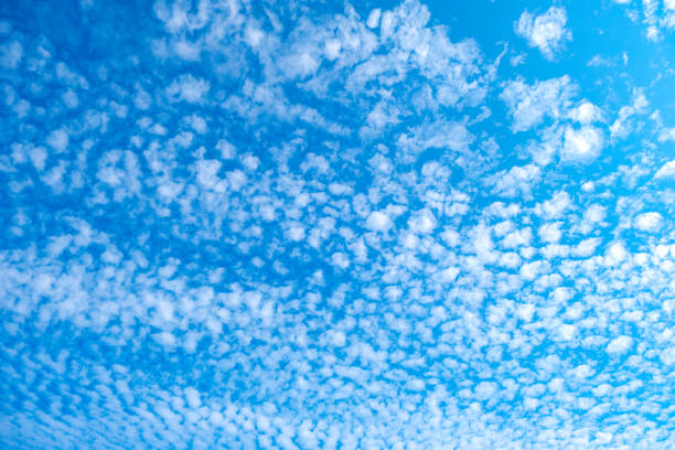 Background panoramic skyline view In the morning sky with colorful clouds and beautiful cloud patterns In the soft light of the morning