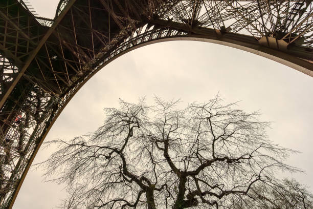 Experience a breathtaking view of the iconic Eiffel Tower perfectly framed by vibrant, colorful trees and a cloudy sky