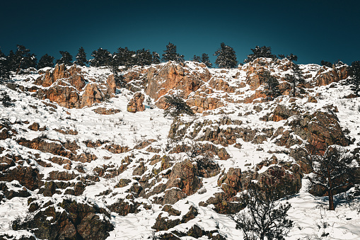 The side of a mountain with snowy rocks and topped with pine trees