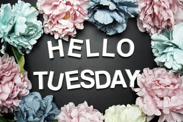 istock Hello Tuesday alphabet letter with flower decoration on black background 2121532829
