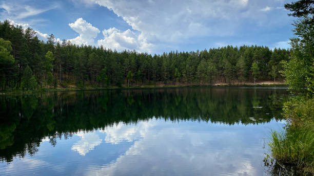 istock Lake shore, blue sky and green trees around. 2121777185