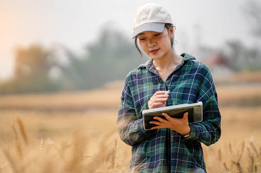 Farmer holding tablet and pen using modern technology to check quality of barley in farm, technology concept