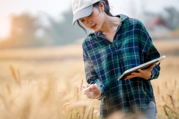 istock Farmer holding tablet and pen using modern technology to check quality of barley in farm, technology concept 2121784979