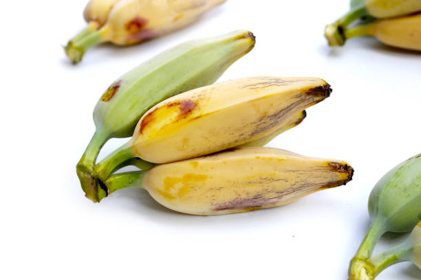Fresh banana fruit, Silver bluggoe or Musa ABB group banana