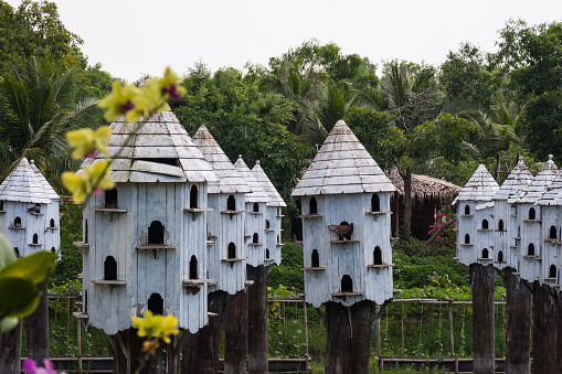 Large white birdhouses built on stilts in the midst of Tra Su Forest in Vietnam, providing shelter for avian inhabitants.
