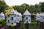 White Birdhouses in Tra Su Forest Wetlands