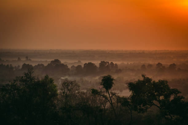 Sunset over misty cambodian forest