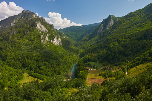 Montenegro. Mountains and forests on the slopes of the mountains.