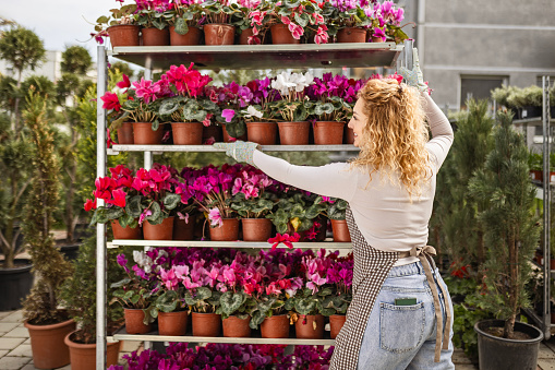 Florist worker in plant shop garden taking care of potted plants