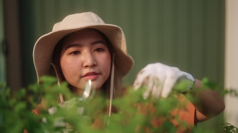 Asian woman pruning the plants.