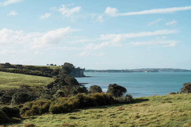 A lush coastal landscape with grassy fields sloping down to a calm bay under a bright blue sky. Shot at Long bay Regional Park in Auckland, New Zealand.