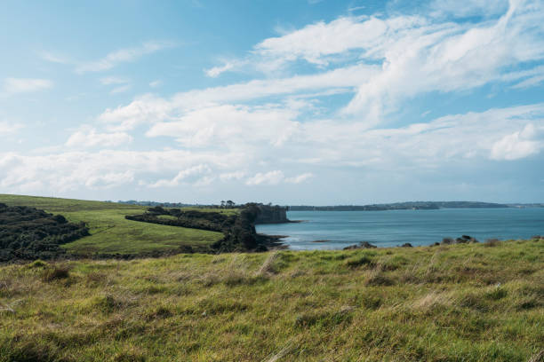 A lush coastal landscape with grassy fields sloping down to a calm bay under a bright sky with scattered clouds. Shot at Long bay Regional Park in Auckland, New Zealand.