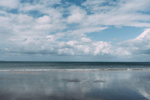 A wide view of a reflective, wet beach under a vast sky dotted with fluffy clouds. Shot at Long bay Regional Park in Auckland, New Zealand.