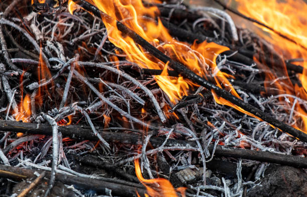 istock Burning firewood in a campfire, close-up 2122057554