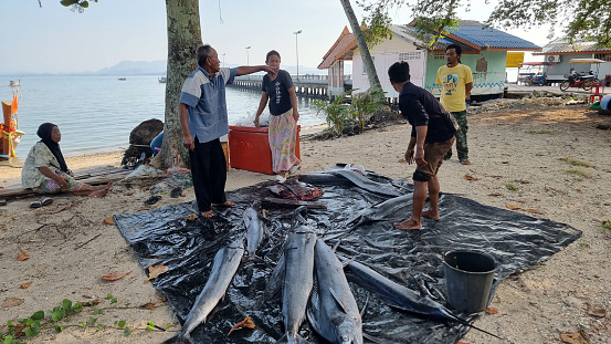 Koh Mook Thailand 20 January 2024, A diverse group of people standing around a large, vibrant assortment of freshly caught fish, engaged in conversation and admiring the days bounty.