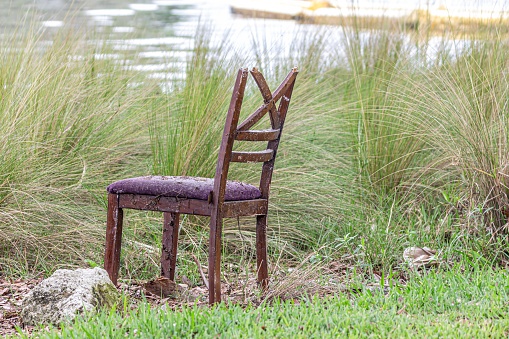 A chair on a green field by a pond
