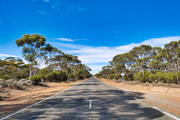 istock Straight road in the Australian outback 2122114263