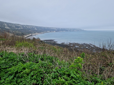 Lush green foliage on edge of white cliffs of Dover on a rainy day - typical English weather