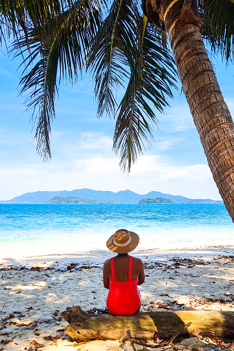 A lone figure sits beneath a majestic palm tree on a sandy beach, seeking solace and tranquility in the serene surroundings. Koh Wai Thailand