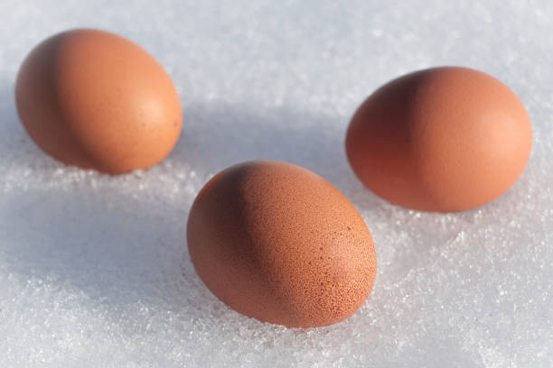 Three chicken eggs lie on the snow. Frosty backing. Undyed eggs are brown in color. Close-up. Natural light.