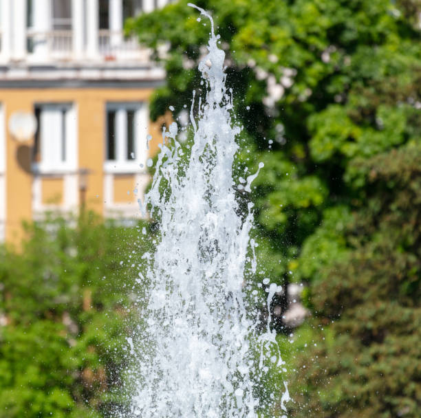 Fountain park in summer. Nature.