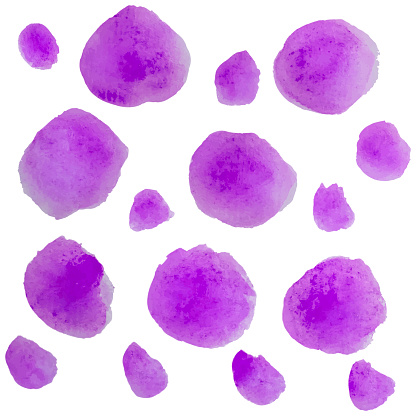 Multi colored paint spots isolated on a white background.