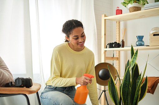 Young african woman watering plants with spray bottle inside the living room