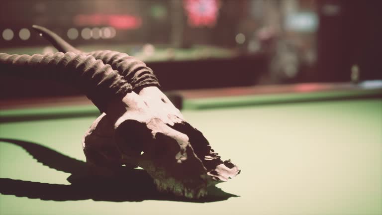 An animal skull on a pool table