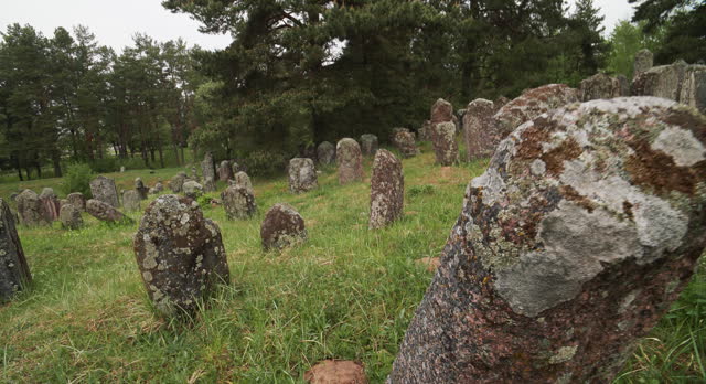 Old ancient Jewish cemetery in summer spring day. green grass and many ancient stones. Headstone Headstones Tombstones jewish grave,