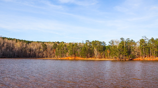 Just a simple shot of some shoreline on beautiful Lake Sinclair in Milledgeville, Georgia.