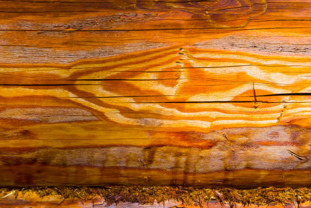 Close-up of rustic wooden planks with visible knots and natural wood grain texture, creating a warm and aged appearance.