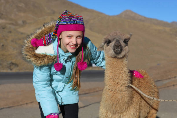 istock happy girl with alpaca 2122281313