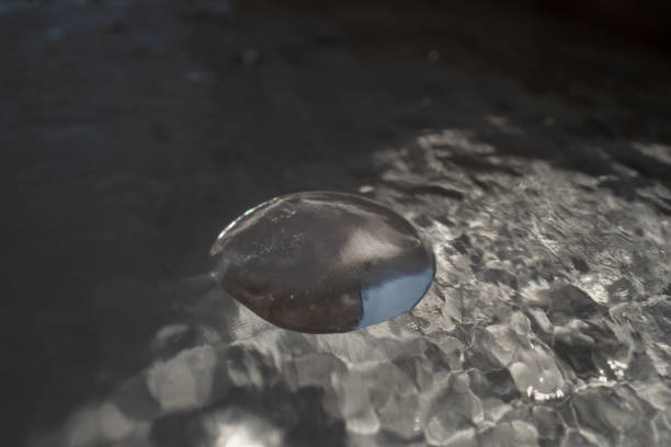 A dark stone creates a significant splash as it hits the surface of a calm lake. Clear ripples spread outward, reflecting the bright blue sky and the surrounding water.