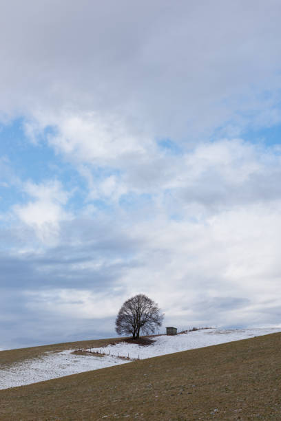 istock Altopiano di Asiago 2122319071