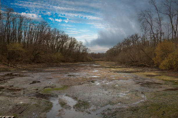 istock Spring landscape. Drained pond. There are fallen trees on the banks. 2122322171