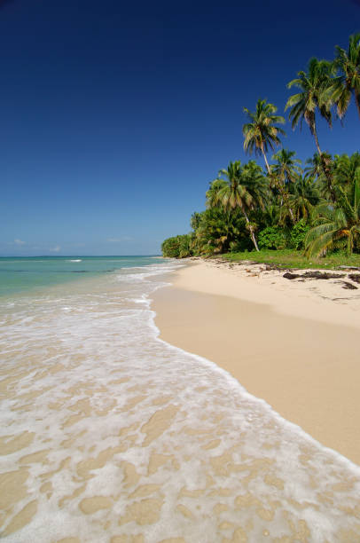 istock Caribbean beach, Panama - stock photo 2122338227
