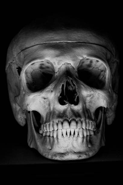 A skull painted black with teeth in darkness.