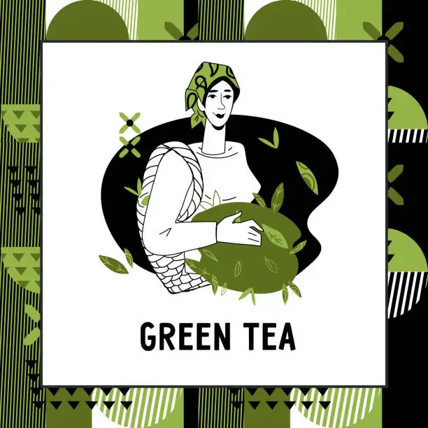 Vector illustration of Matcha tea or green tea label, banner template, hand drawn vector illustration.