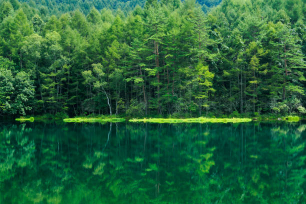 Mishaka Pond, Chino-shi, Nagano