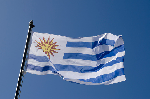 flag of Uruguay blue and white flamed with blue sky in the background