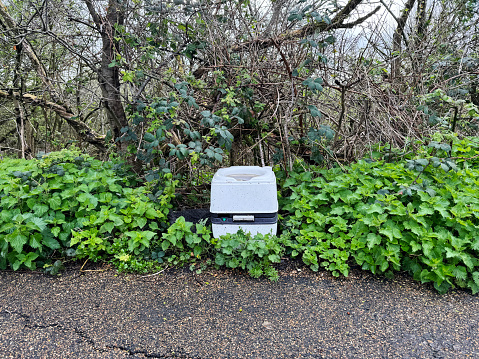 Portable toilet left in a hedge